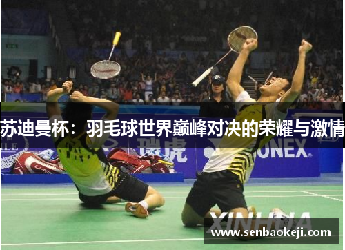 苏迪曼杯：羽毛球世界巅峰对决的荣耀与激情