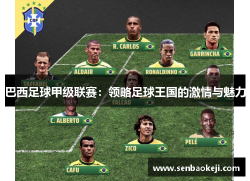 巴西足球甲级联赛:领略足球王国的激情与魅力 巴西足球甲级联赛:领略足球王国的激情与魅力