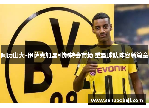 阿历山大·伊萨克加盟引爆转会市场 重塑球队阵容新篇章